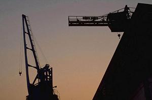 DNAメチル化解析を行っています