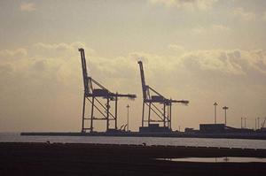 LED水銀灯を購入できるショップについて